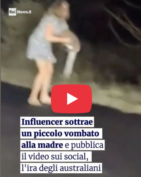 influencer ruba cucciolo alla madre